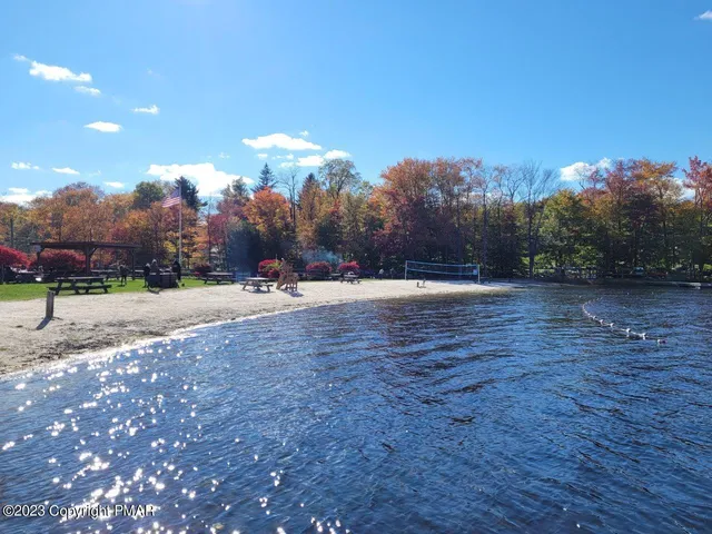 a view of road with large trees