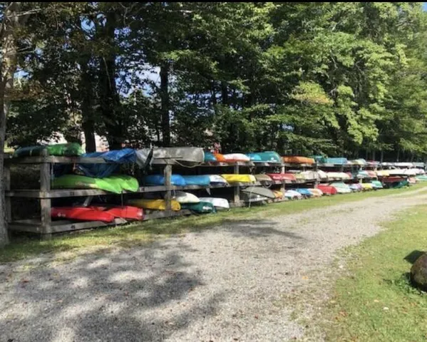 a view of a lake from a yard