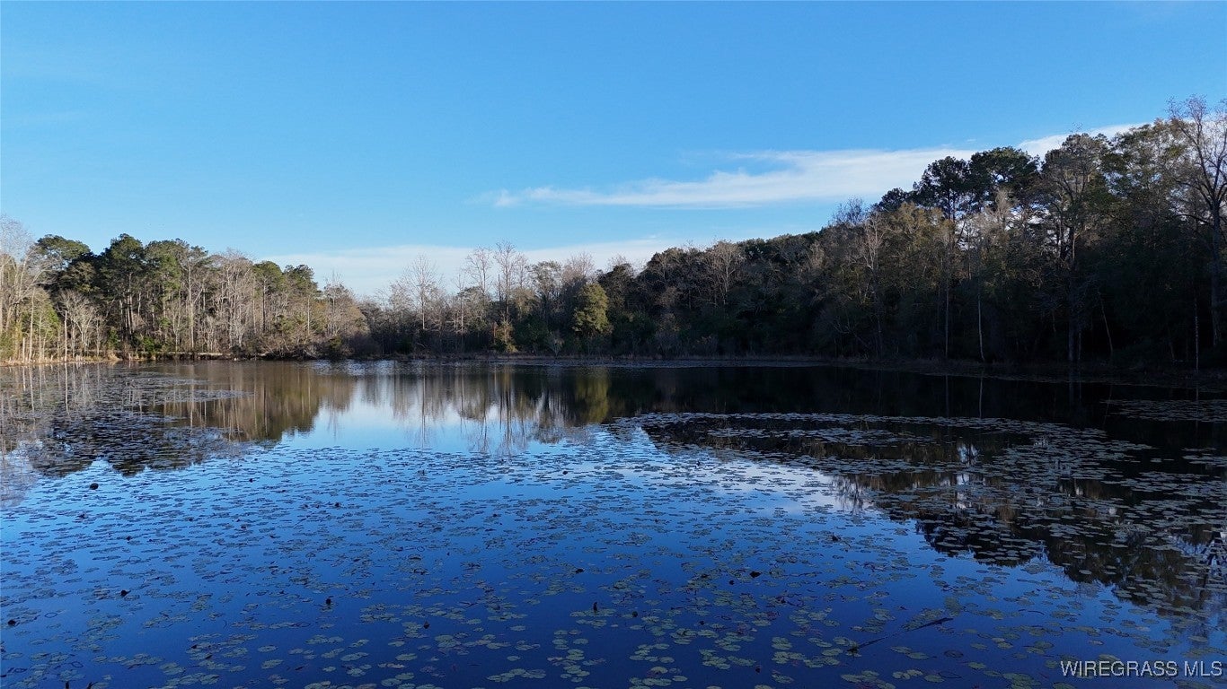 675 Lessie Culpepper Road Coffee Springs, AL 36318 - Photo 18 of 18 Gallery Image 18