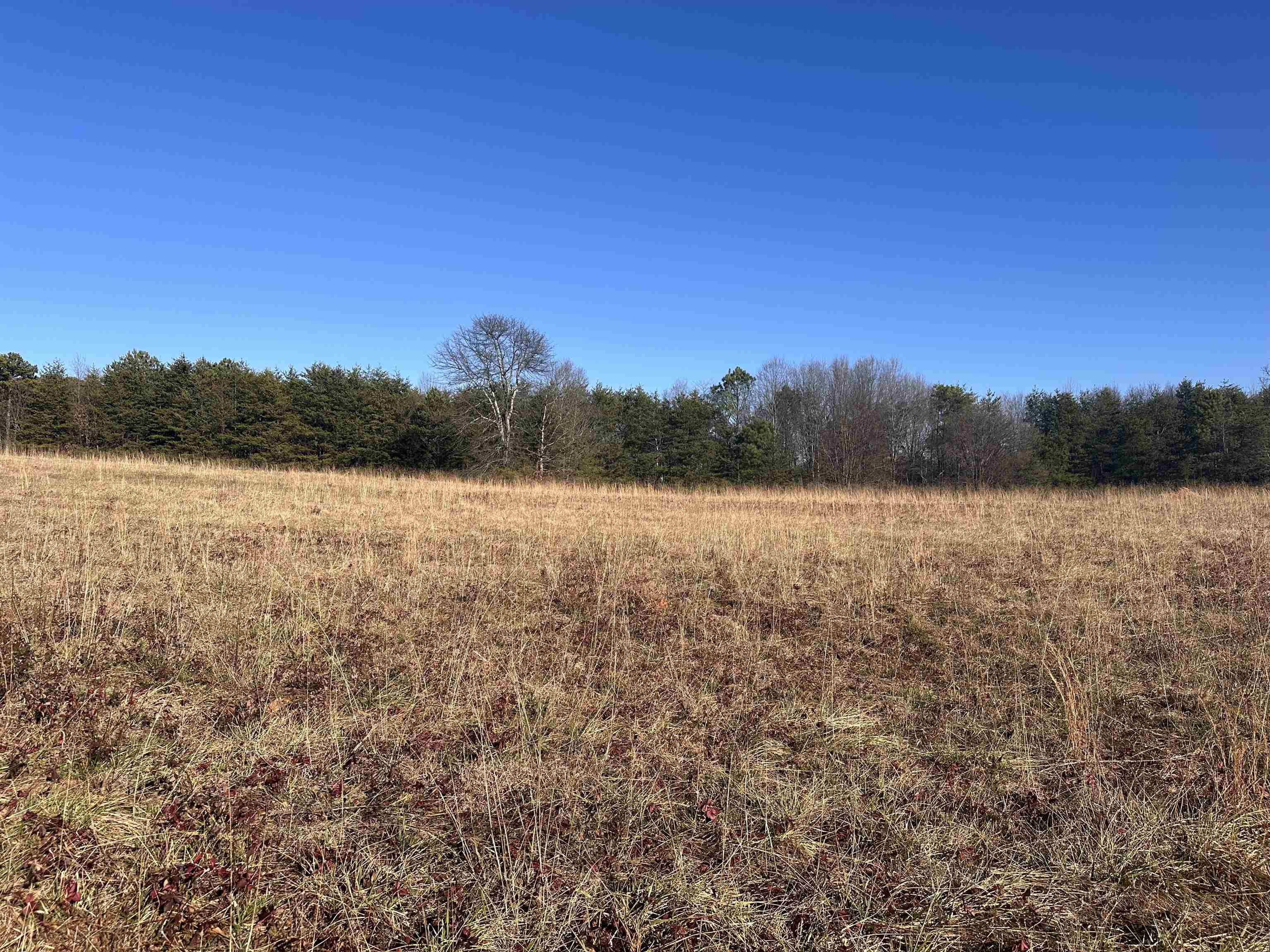 420 Hyder Road Inman, SC 29349 - Photo 1 of 3