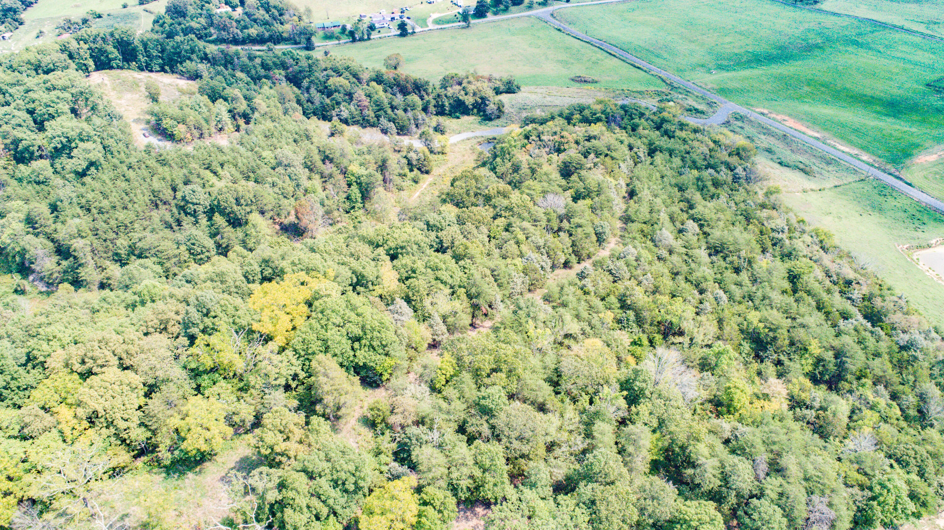 1850 Old Ducktown Road Limestone, TN 37681 - Photo 15 of 22 DJI_0088