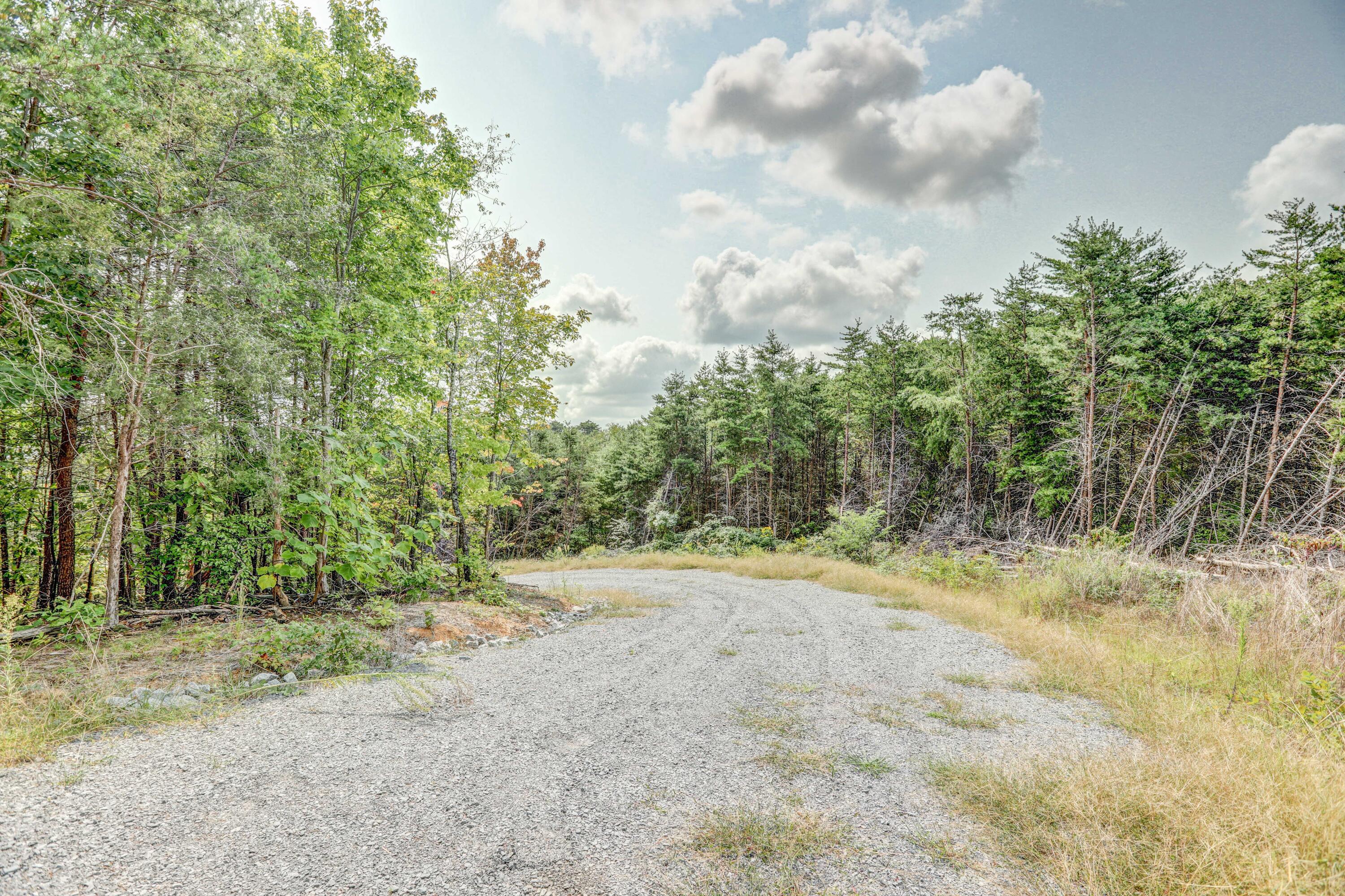 1850 Old Ducktown Road Limestone, TN 37681 - Photo 6 of 22 B42A0254_5_6_7_8
