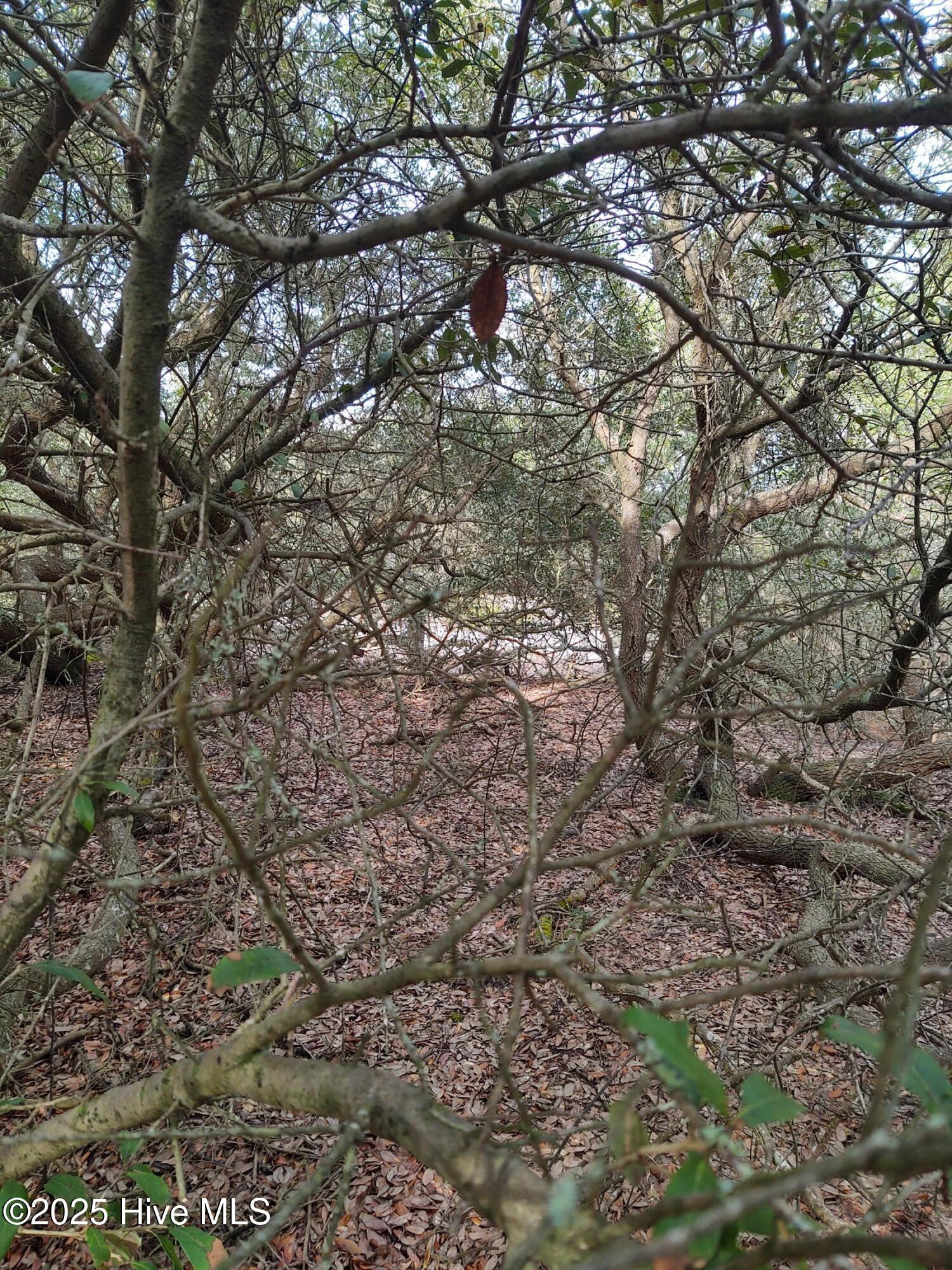 2356 Sandpiper Road Corolla, NC 27927 - Photo 17 of 27 Interior 2 - elevation