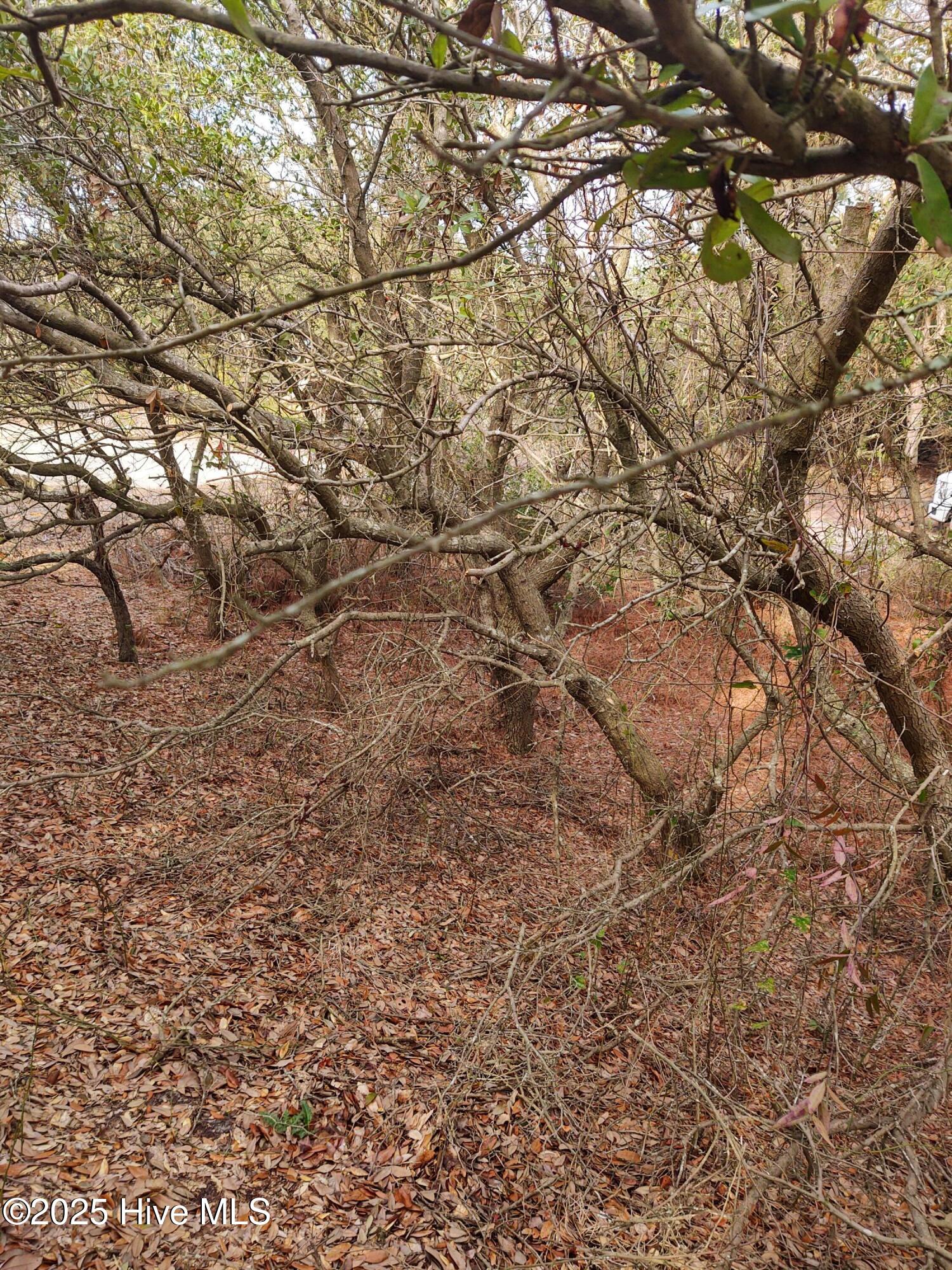 2356 Sandpiper Road Corolla, NC 27927 - Photo 21 of 27 Interior
