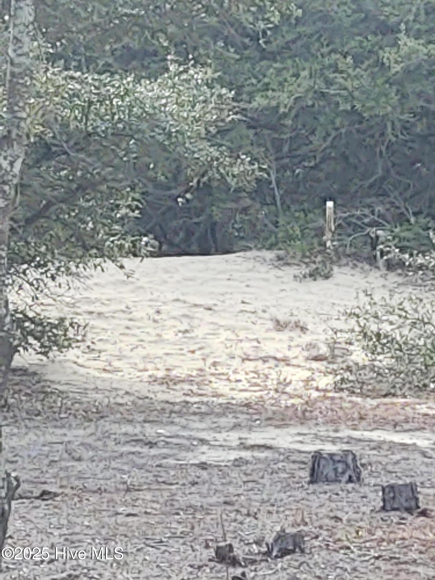 2356 Sandpiper Road Corolla, NC 27927 - Photo 22 of 27 Right Rear property line post