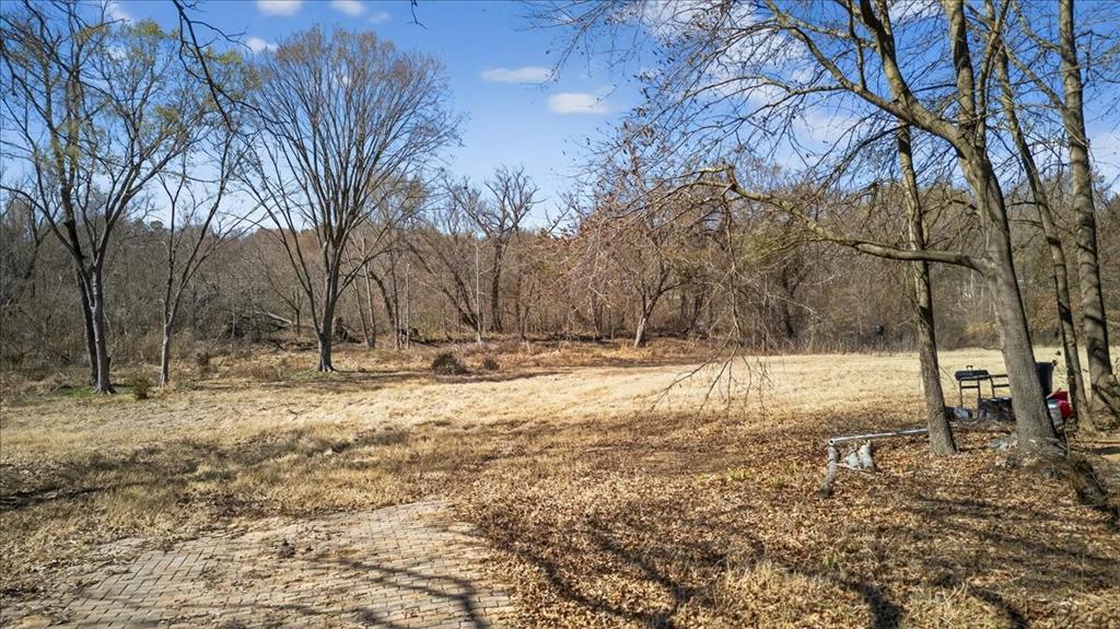 0 Lance Eustace, TX 75124 - Photo 15 of 21 a view of yard covered with snow in front of house
