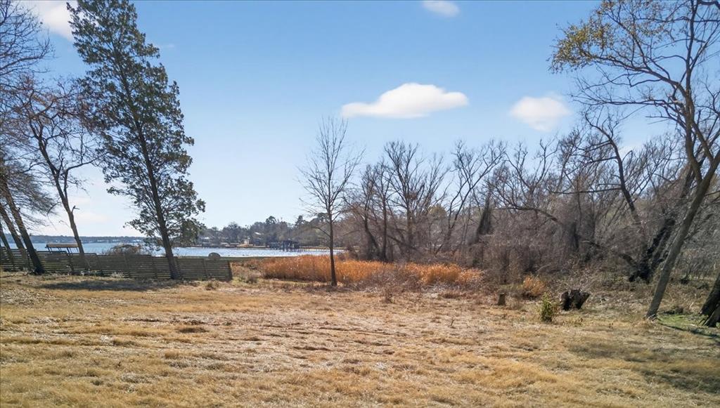 0 Lance Eustace, TX 75124 - Photo 16 of 21 a view of a yard next to a yard