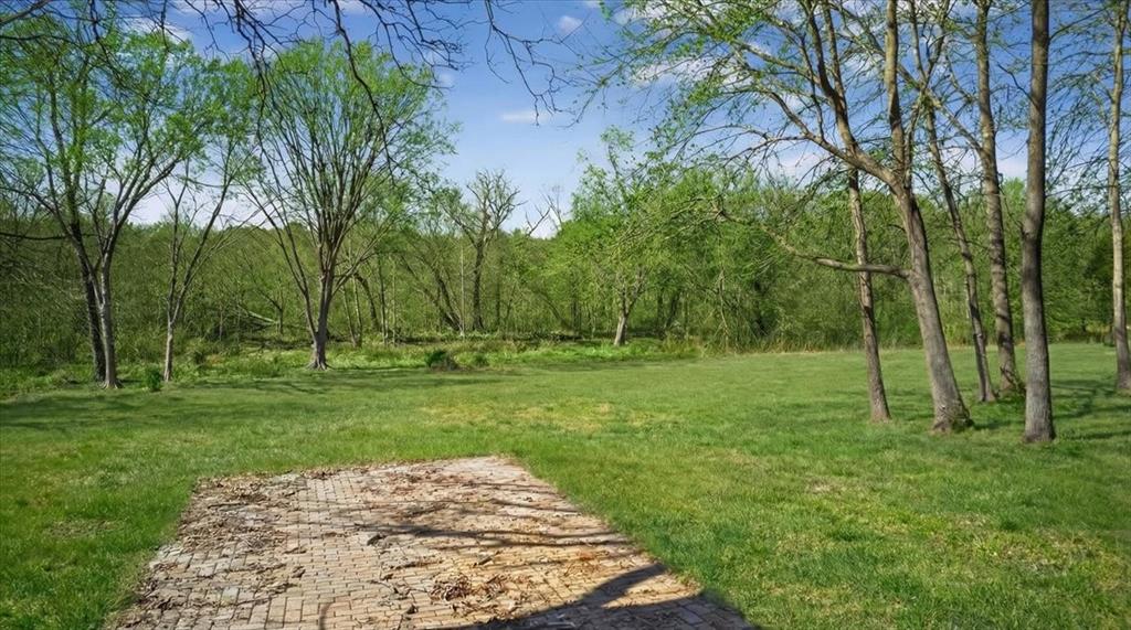 0 Lance Eustace, TX 75124 - Photo 3 of 21 a view of a park with a tree