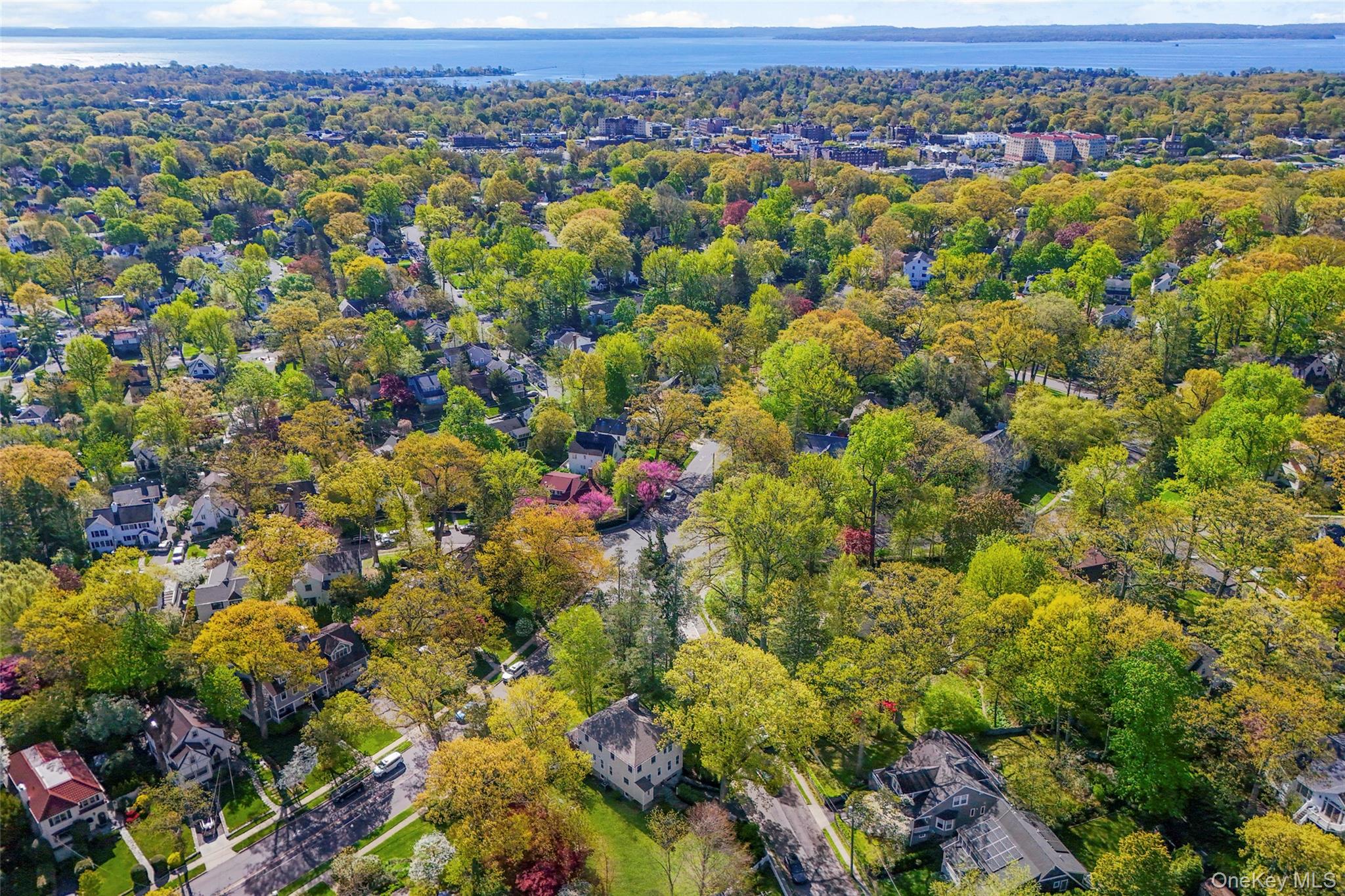 225 Rockingstone Avenue Larchmont, NY 10538 - Photo 24 of 29