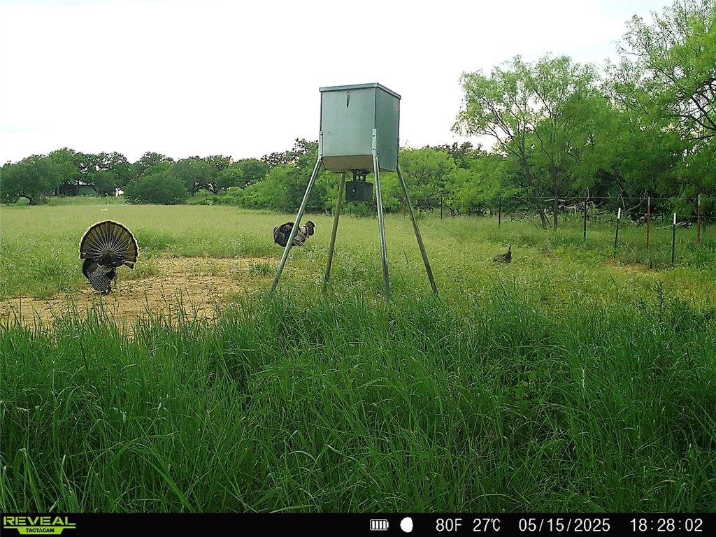 2417 Highway 569 Cisco Tx 76437 Cisco, TX 76437 - Photo 26 of 40