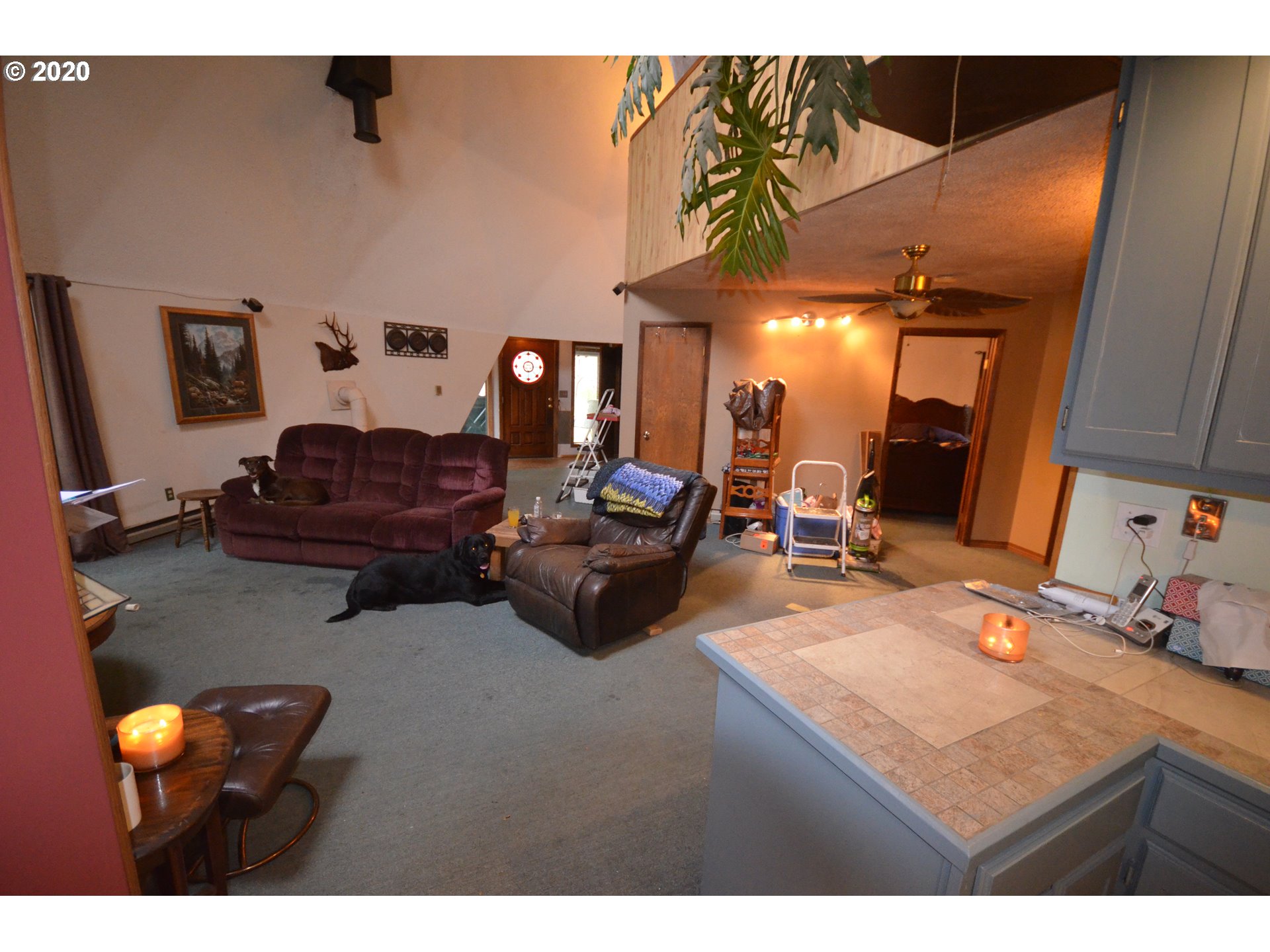 29 Monagon Howard Road Lyle, WA 98635 - Photo 7 of 25 Gallery Image 7