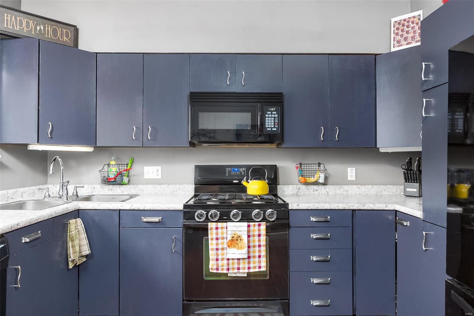 3845 Dover Place St. Louis, MO 63116 - Photo 17 of 36