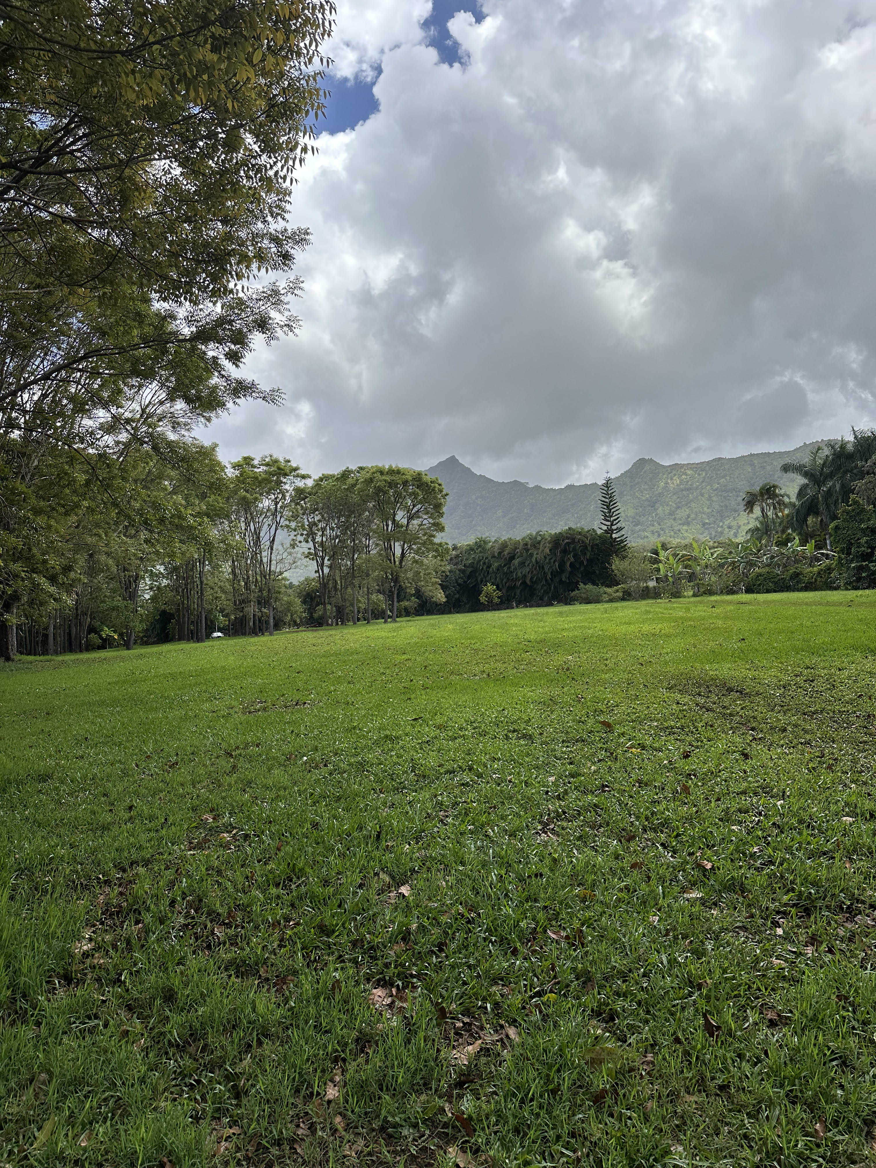Halaulani Road Kilauea, HI 96754 - Photo 1 of 11 a view of an outdoor space with a lake view