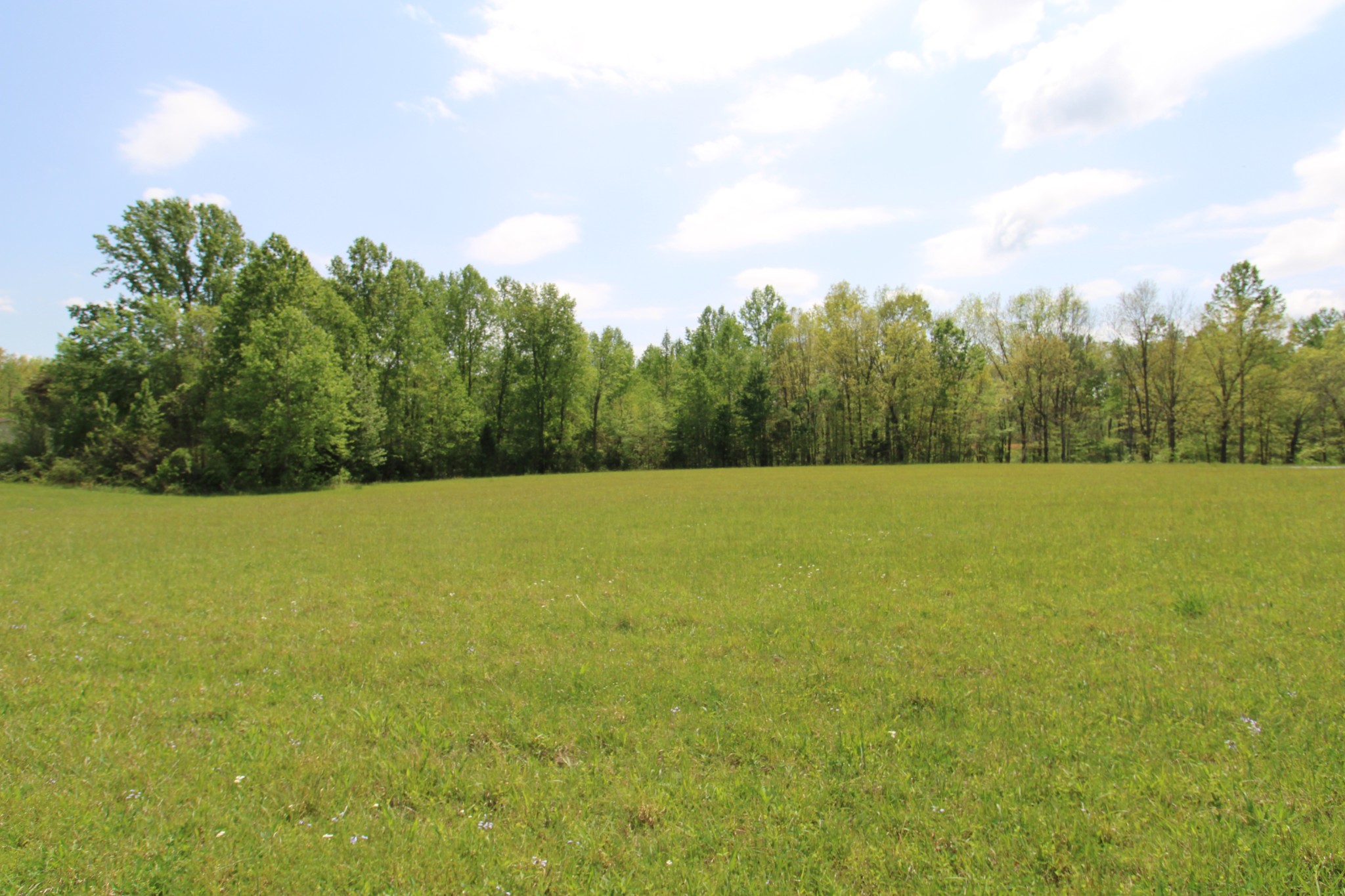 a view of a green field