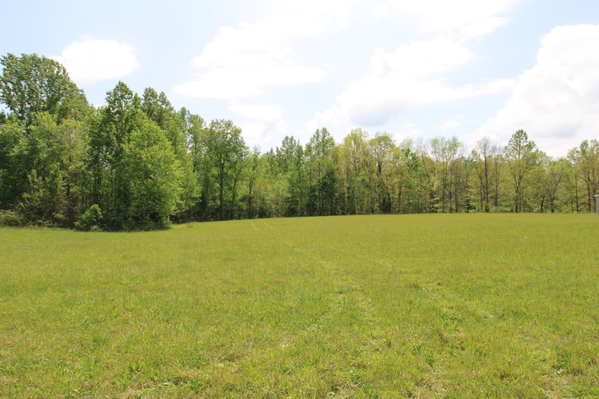 0 Rabe Coats Road Westmoreland, TN 37186 - Photo 2 of 8 a view of open field with trees in the background