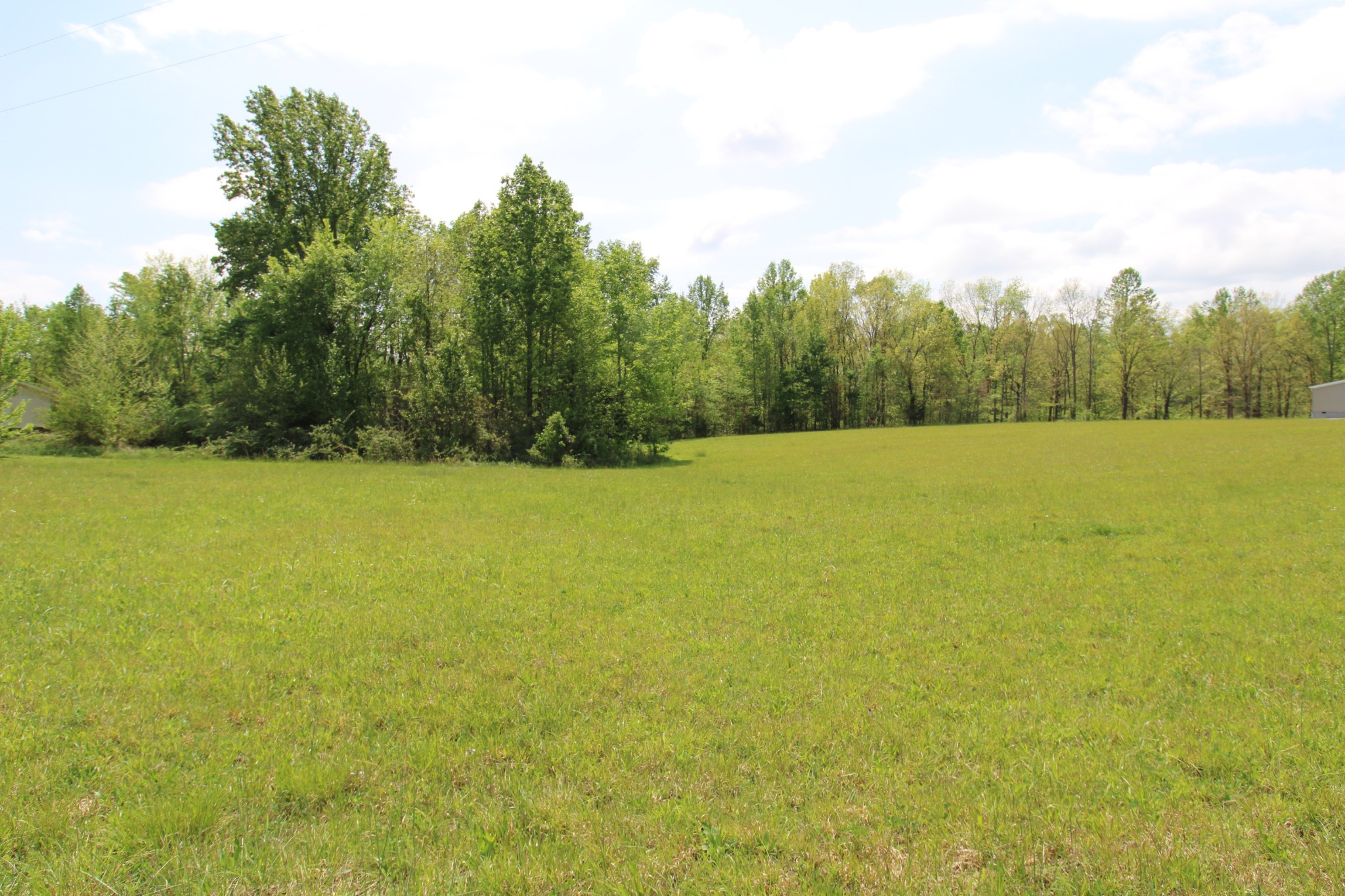 0 Rabe Coats Road Westmoreland, TN 37186 - Photo 7 of 8 a view of yard with ocean and trees in the background