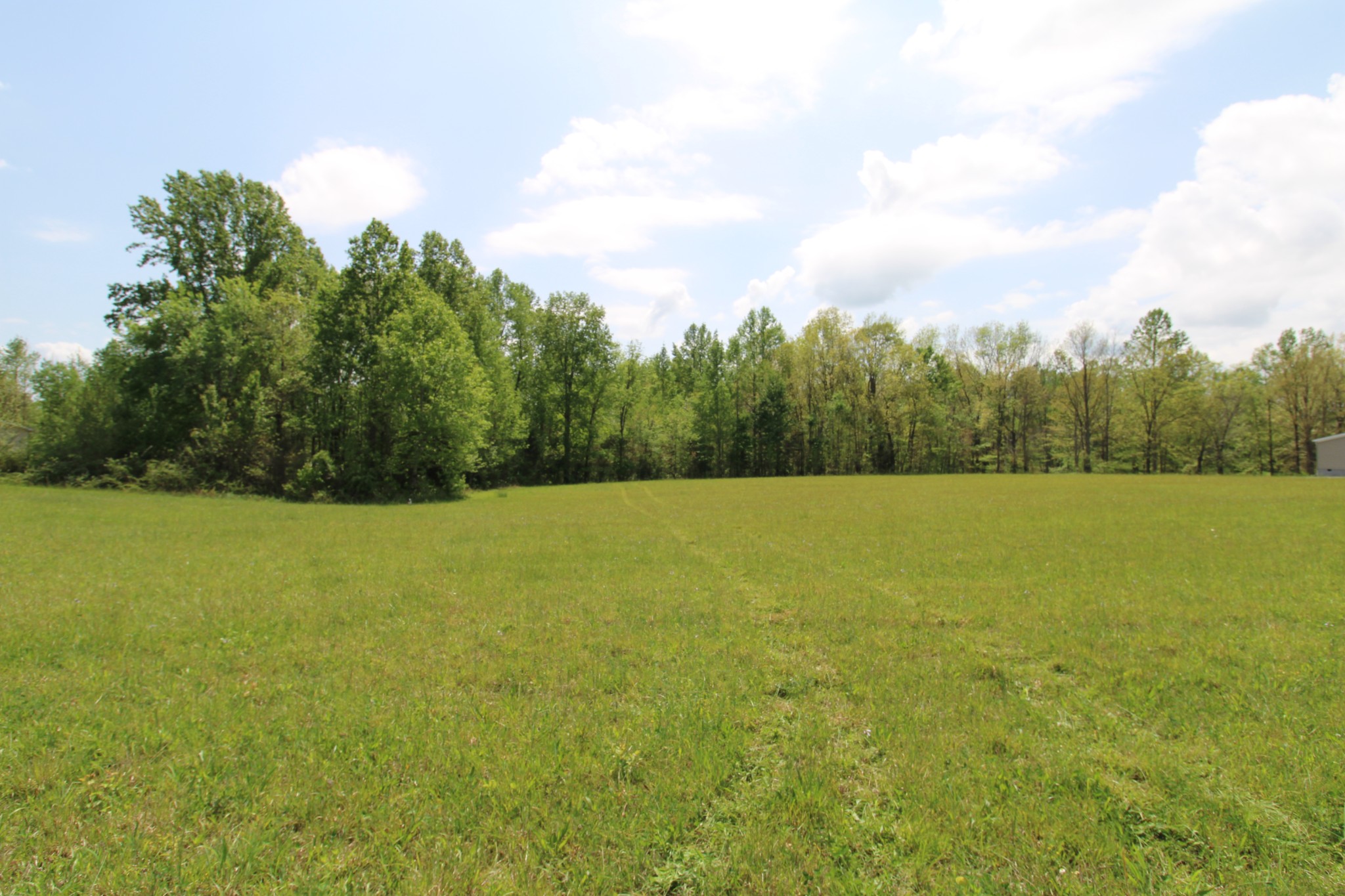 0 Rabe Coats Road Westmoreland, TN 37186 - Photo 8 of 8 a view of open field with trees in the background