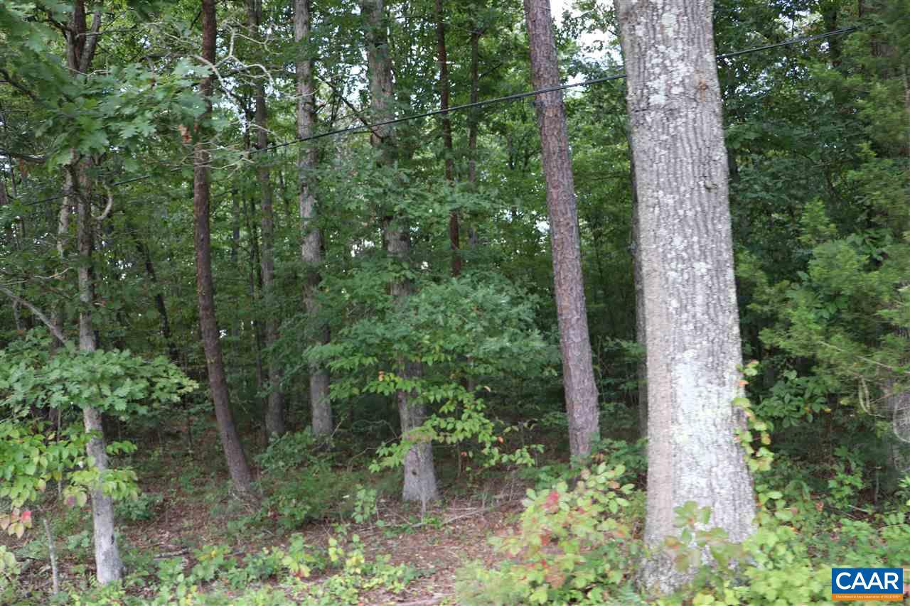 Village Rd Road Unionville, VA 22567 - Photo 1 of 3 Gallery Image 1