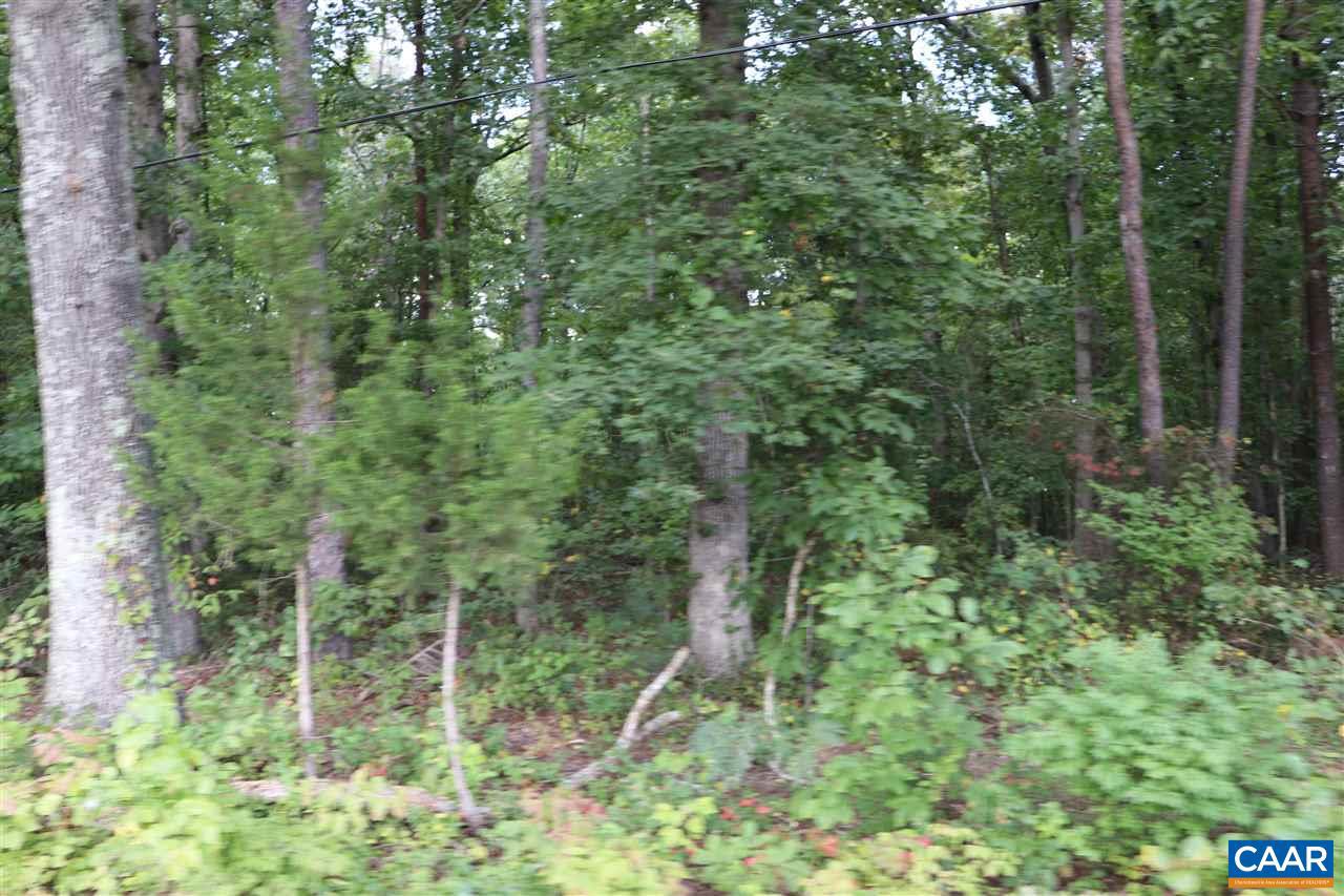 Village Rd Road Unionville, VA 22567 - Photo 2 of 3 Gallery Image 2