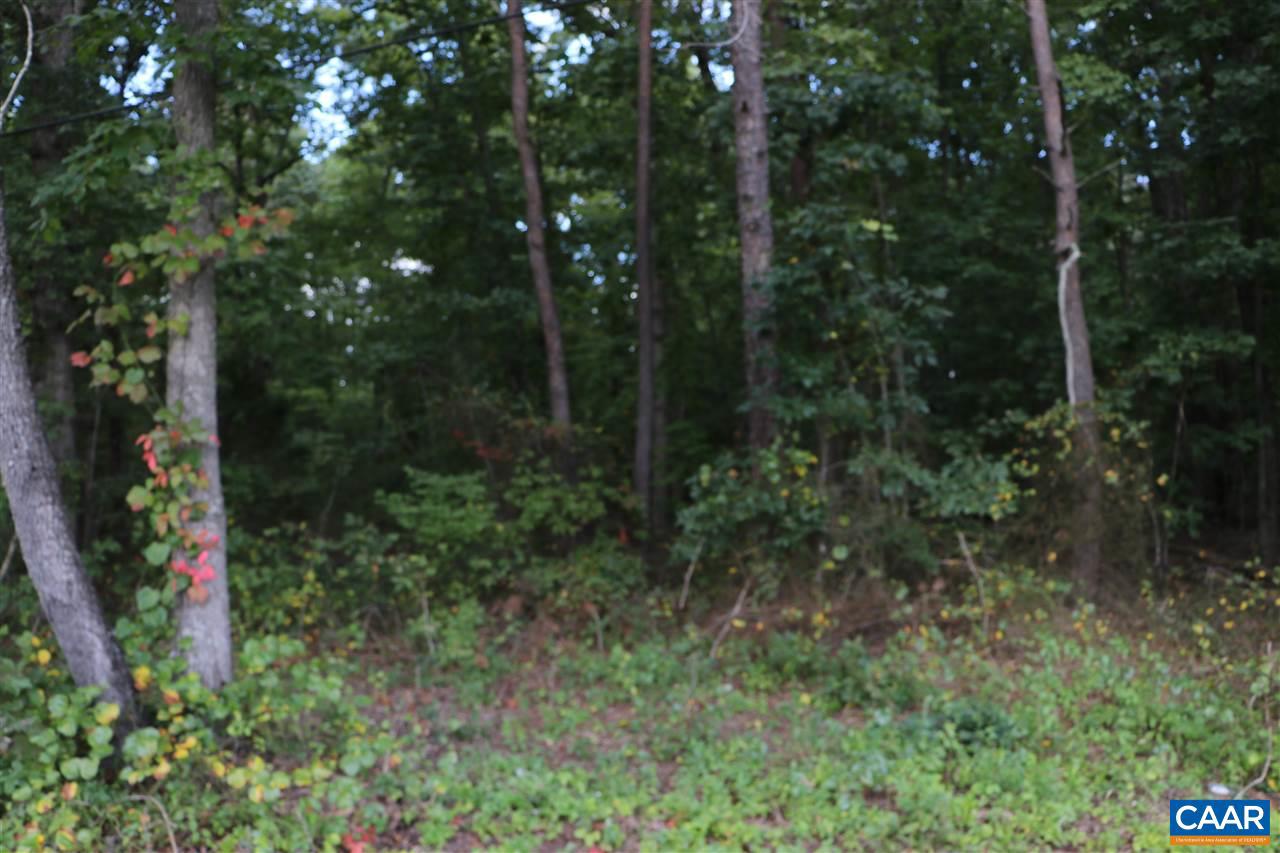 Village Rd Road Unionville, VA 22567 - Photo 3 of 3 Gallery Image 3
