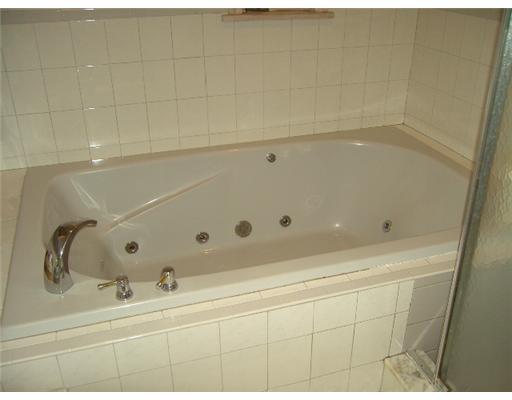 2646 Mt Royal Road Pittsburgh, PA 15217 - Photo 11 of 18 Master Bath/Spa.