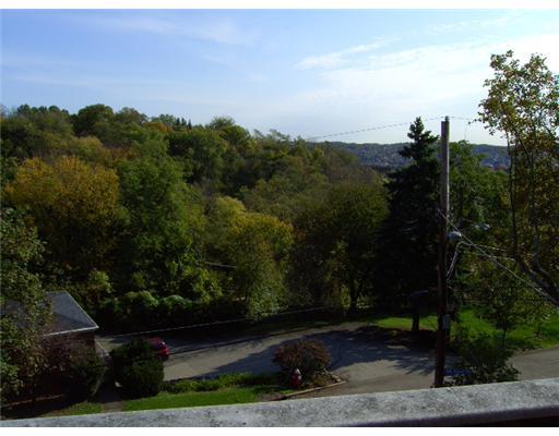2646 Mt Royal Road Pittsburgh, PA 15217 - Photo 18 of 18 View.