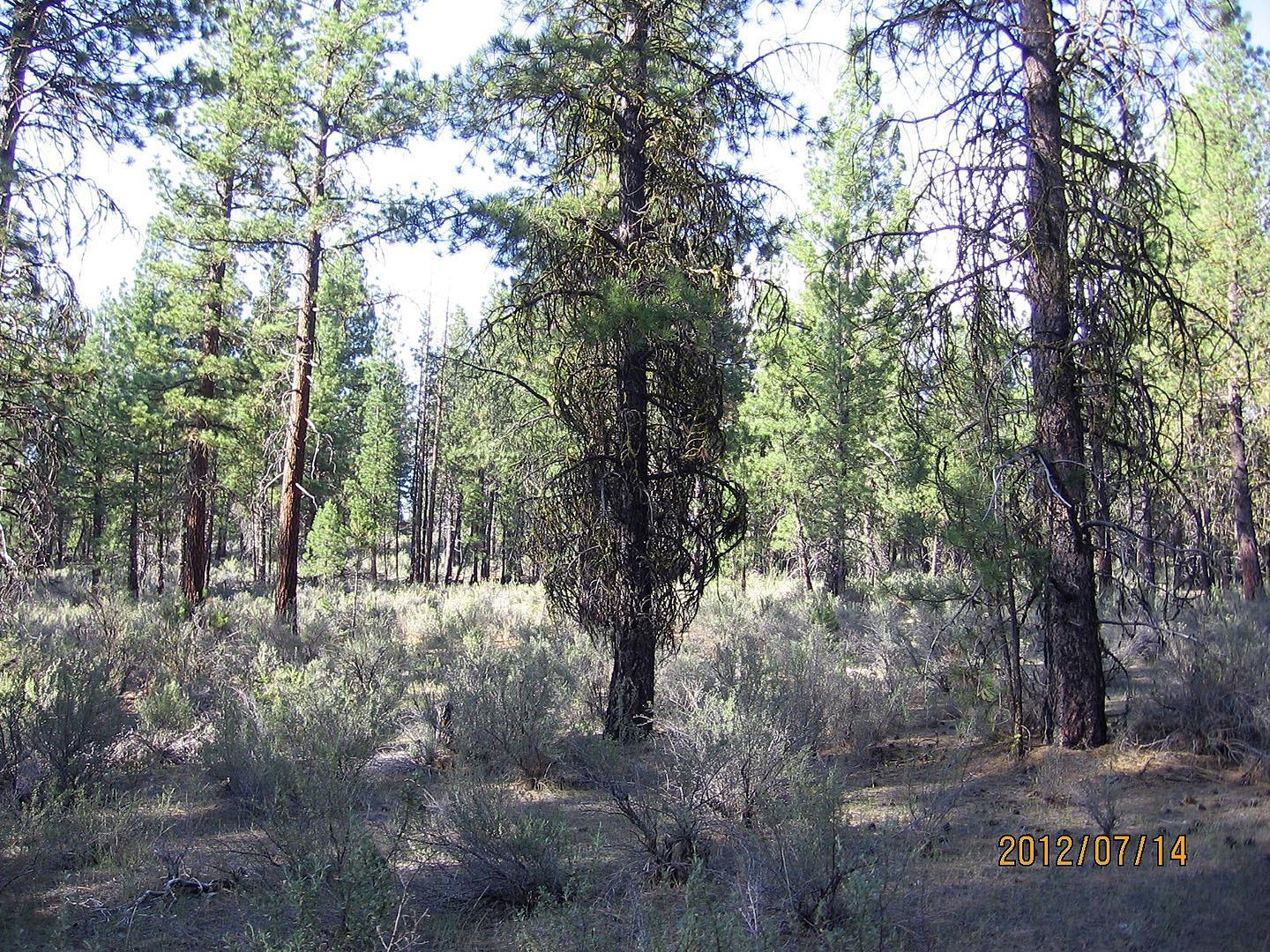 3700 Outpost Road Chiloquin, OR 97624 - Photo 3 of 8 Additional Photo