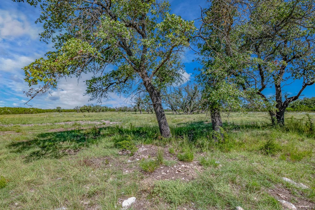 20 Bonita View Ranch Road, Unit 20 Harper, TX 78631 - Photo 2 of 12 Gallery Image 2