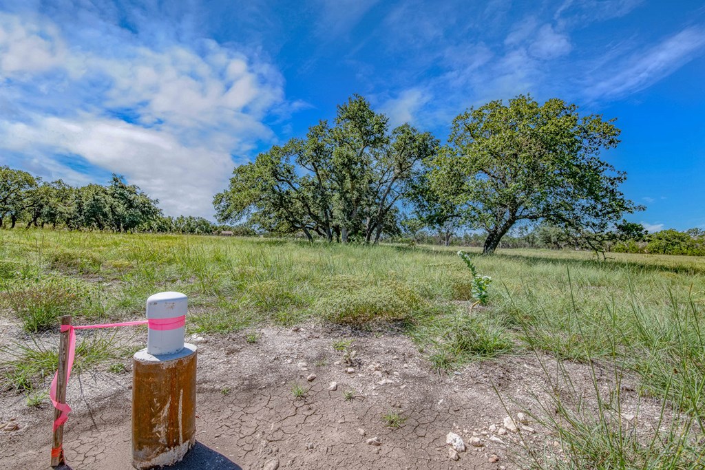 20 Bonita View Ranch Road, Unit 20 Harper, TX 78631 - Photo 4 of 12 Gallery Image 4