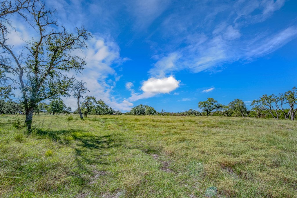 20 Bonita View Ranch Road, Unit 20 Harper, TX 78631 - Photo 6 of 12 Gallery Image 6