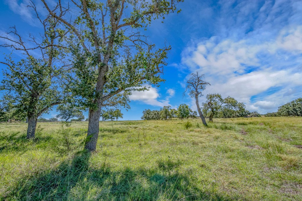 20 Bonita View Ranch Road, Unit 20 Harper, TX 78631 - Photo 7 of 12 Gallery Image 7