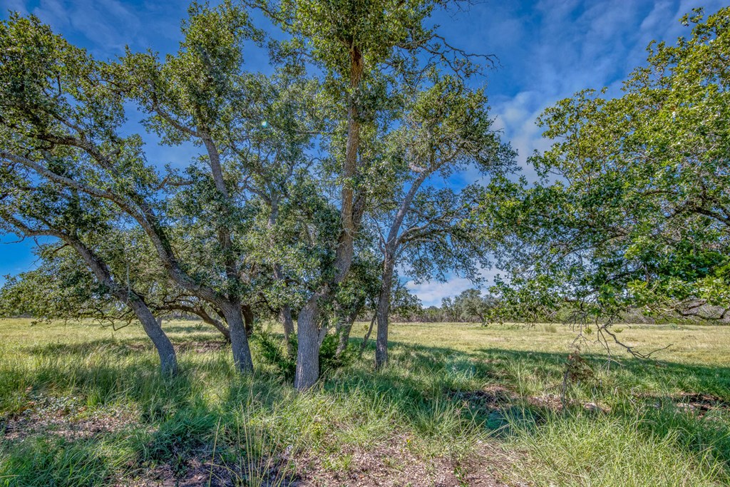 20 Bonita View Ranch Road, Unit 20 Harper, TX 78631 - Photo 8 of 12 Gallery Image 8