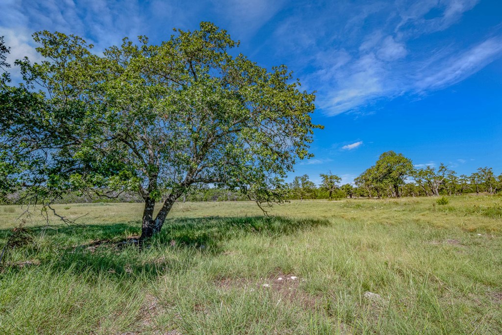 20 Bonita View Ranch Road, Unit 20 Harper, TX 78631 - Photo 9 of 12 Gallery Image 9
