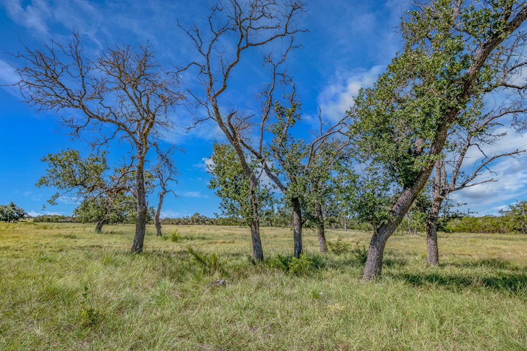 20 Bonita View Ranch Road, Unit 20 Harper, TX 78631 - Photo 10 of 12 Gallery Image 10