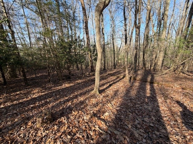414 Citizens Road Rural Retreat, VA 24368 - Photo 37 of 41 Gallery Image 37