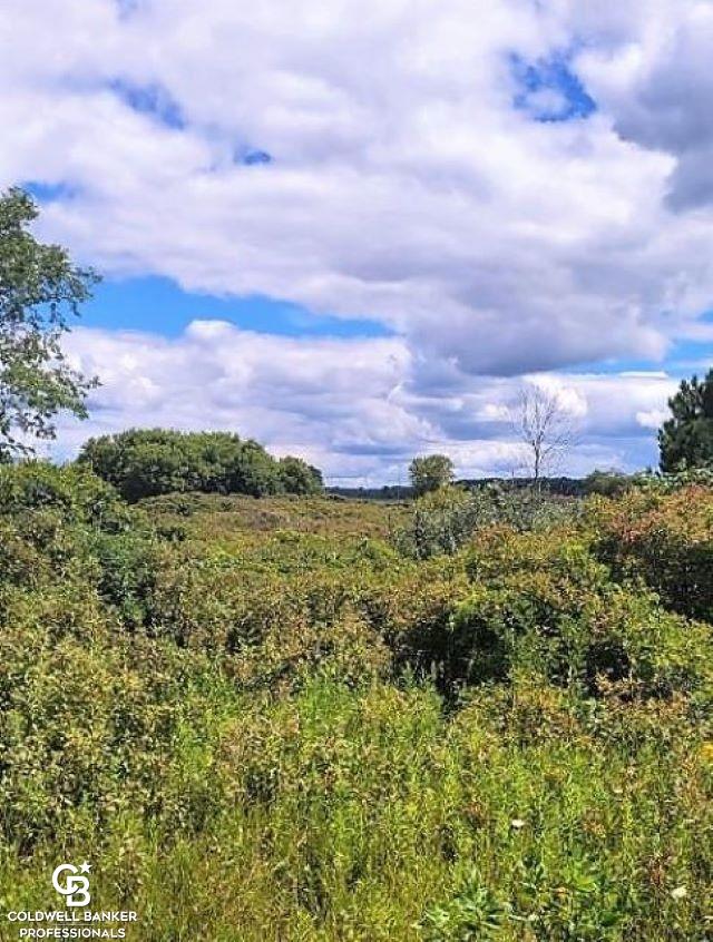 0 Brown City Road Imlay City, MI 48444 - Photo 6 of 10