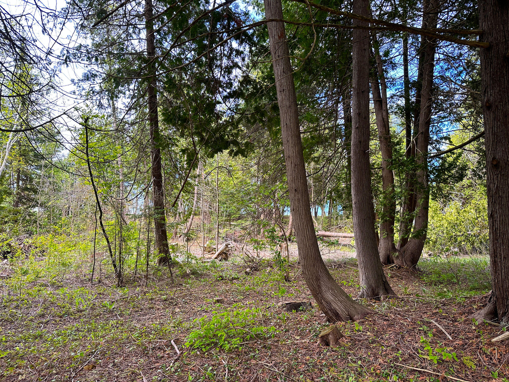 1175 West Pte La Barbe Rd Street St. Ignace, MI 49781 - Photo 14 of 21 Gallery Image 14