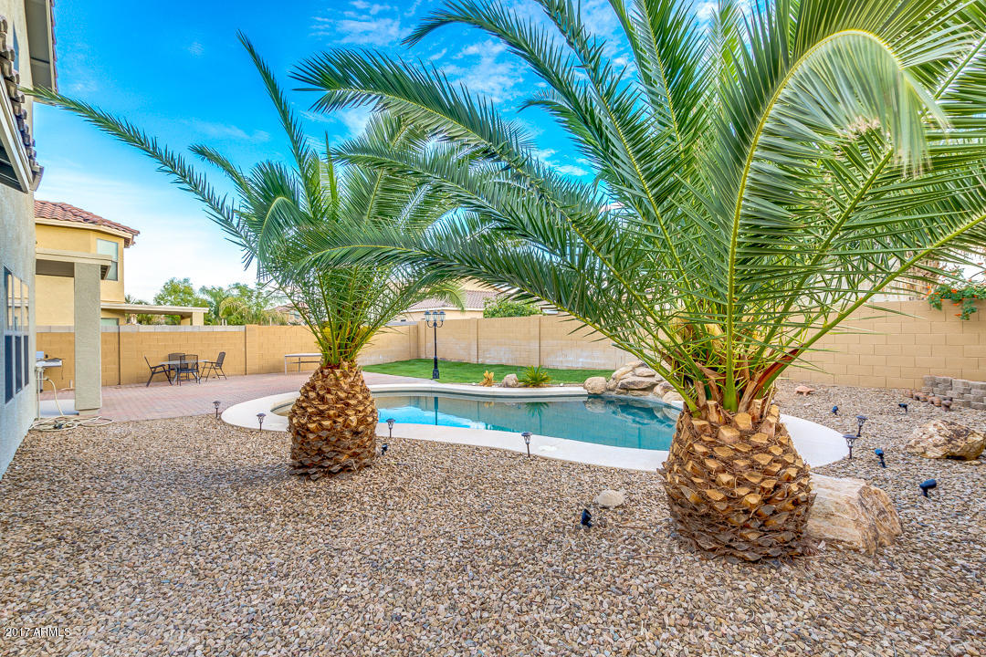 2869 West Tanner Ranch Road Queen Creek, AZ 85144 - Photo 40 of 46 41-Tanner Ranch