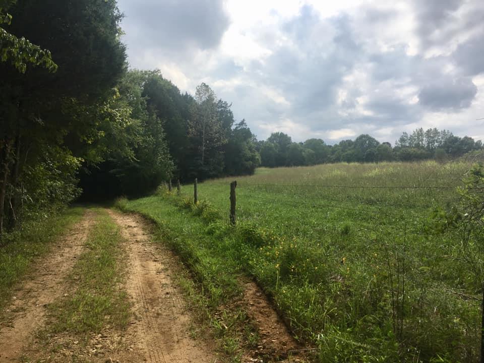 0 Albert Morgan Road Summer Shade, KY 42166 - Photo 5 of 23 Gallery Image 5