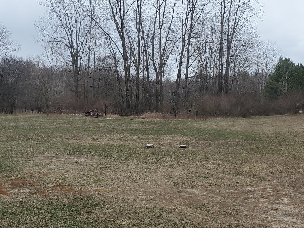 565 South Wise Road Mount Pleasant, MI 48858 - Photo 11 of 28 Gallery Image 11