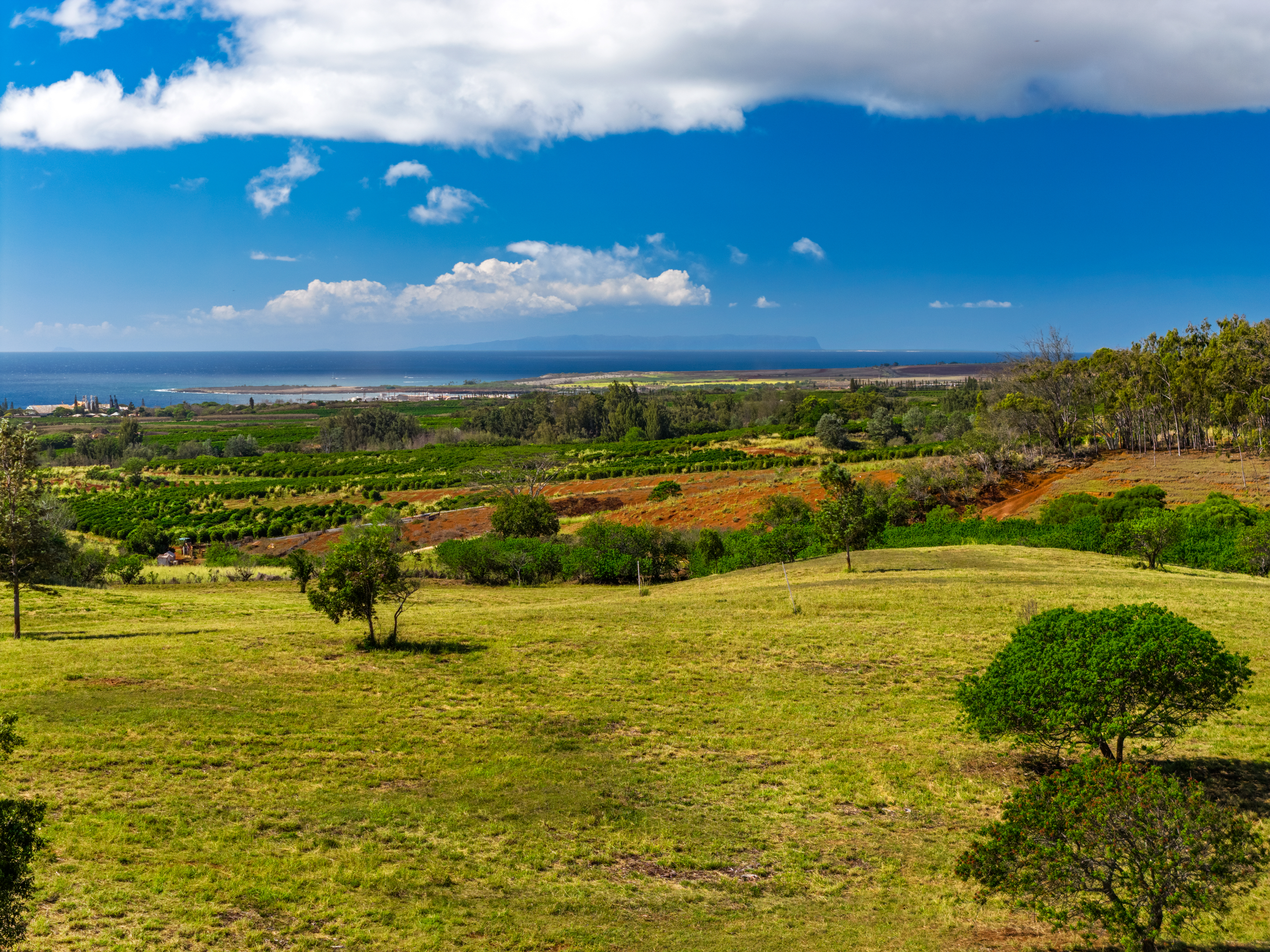 3 Lot 150 Lolo Road Kalaheo, HI 96741 - Photo 3 of 5 a view of an ocean