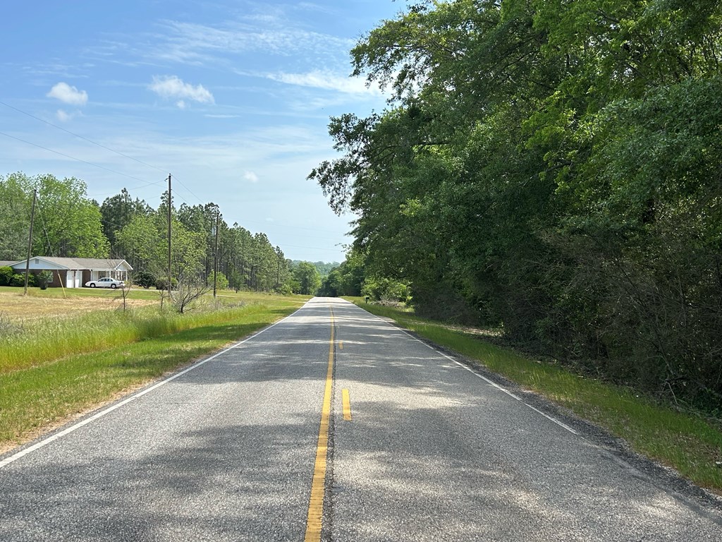 10907-44 -ac) Cty Road Hartford, AL 36344 - Photo 13 of 52