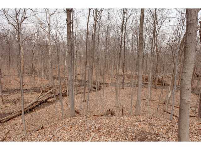 440 Shale Ridge Court Powell, OH 43065 - Photo 24 of 25 Gallery Image 24