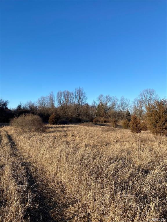 5000 Pawson Road Tipton, MI 49287 - Photo 4 of 19