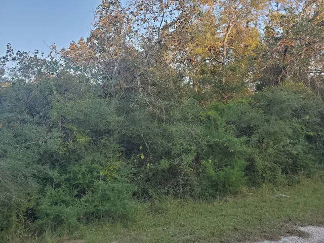 $30,000 | 0 Cottontail, Hempstead, TX 77445