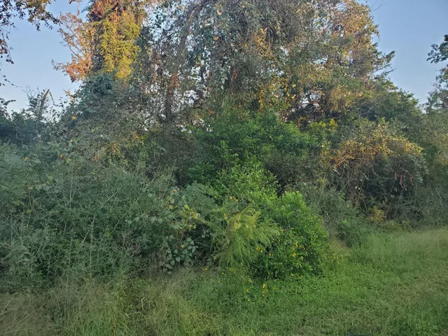 an aerial view of residential house with outdoor space and trees all around