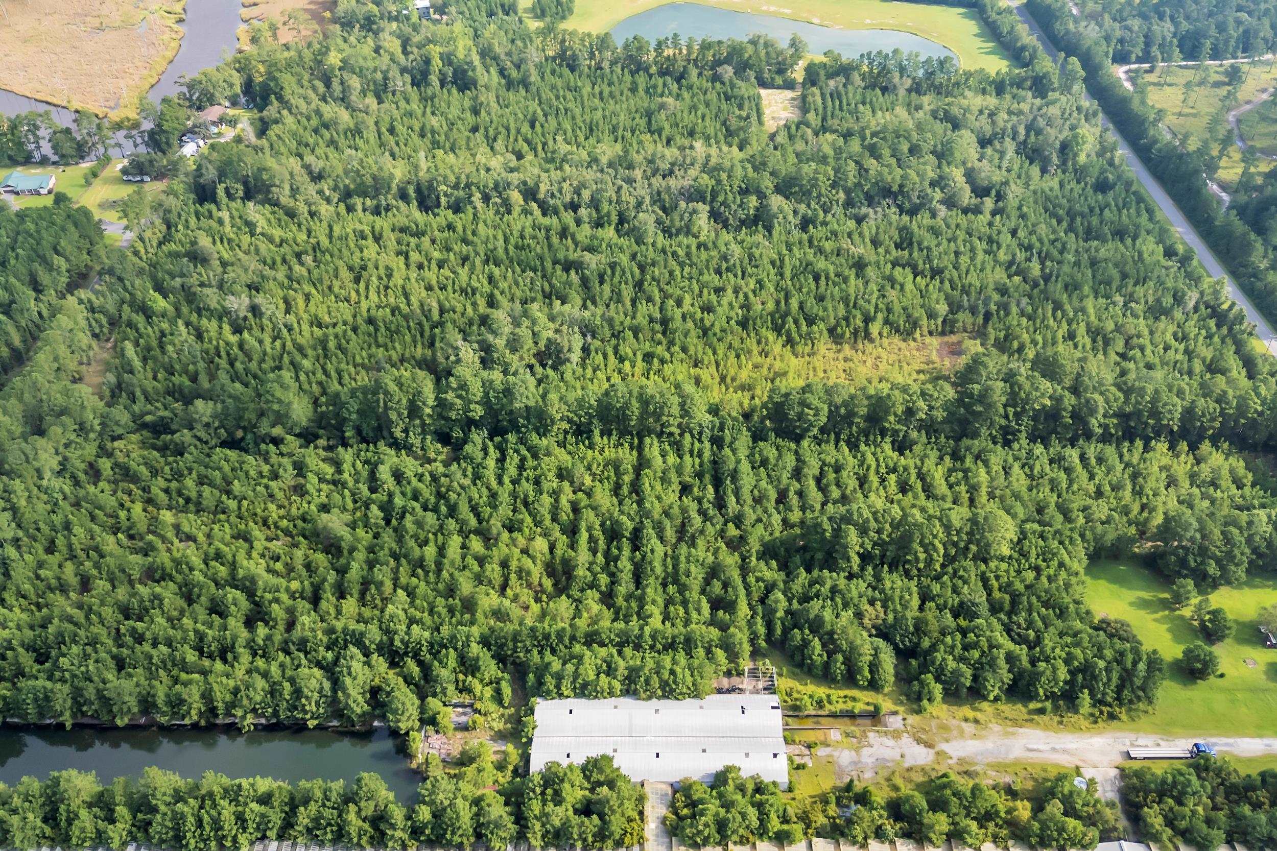 Tbd Sunfish Street Georgetown, SC 29440 - Photo 6 of 8