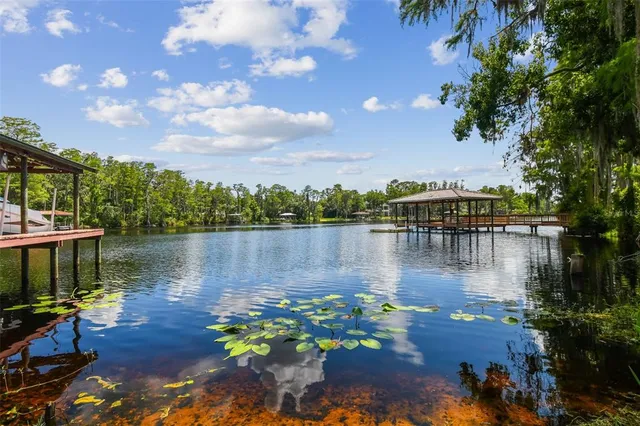 $1,780,000 | 16205 Sentry Woods Court, Odessa, FL 33556