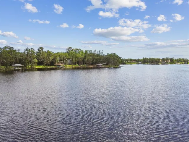 $1,780,000 | 16205 Sentry Woods Court, Odessa, FL 33556