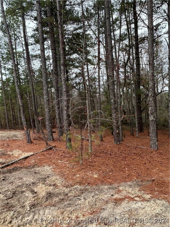 826 Roberts Road Sanford, NC 27332 - Photo 23 of 23 Gallery Image 23
